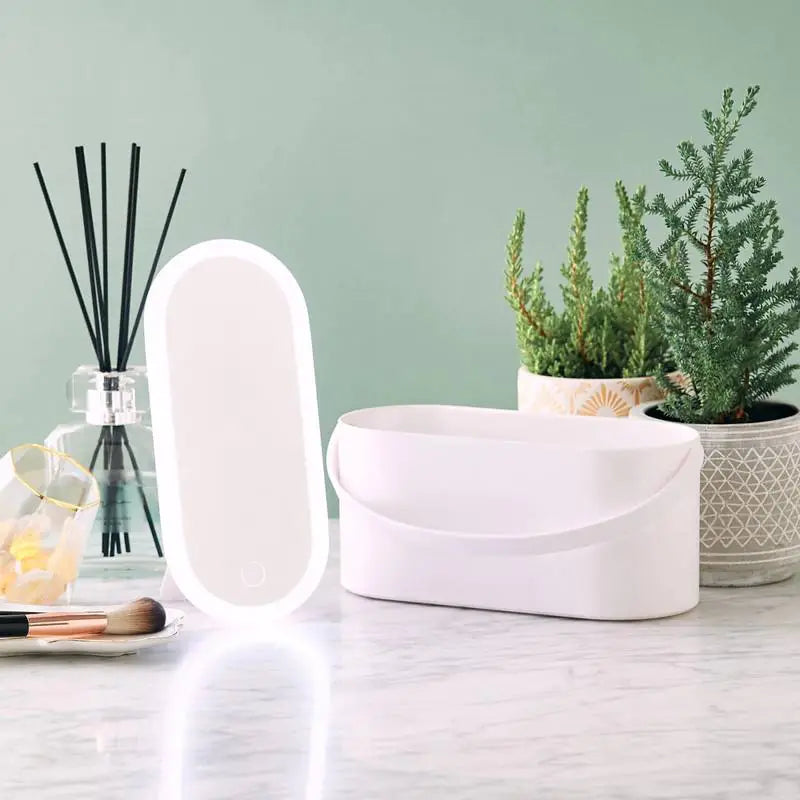 Portable Makeup Organizer with LED Light & Mirror