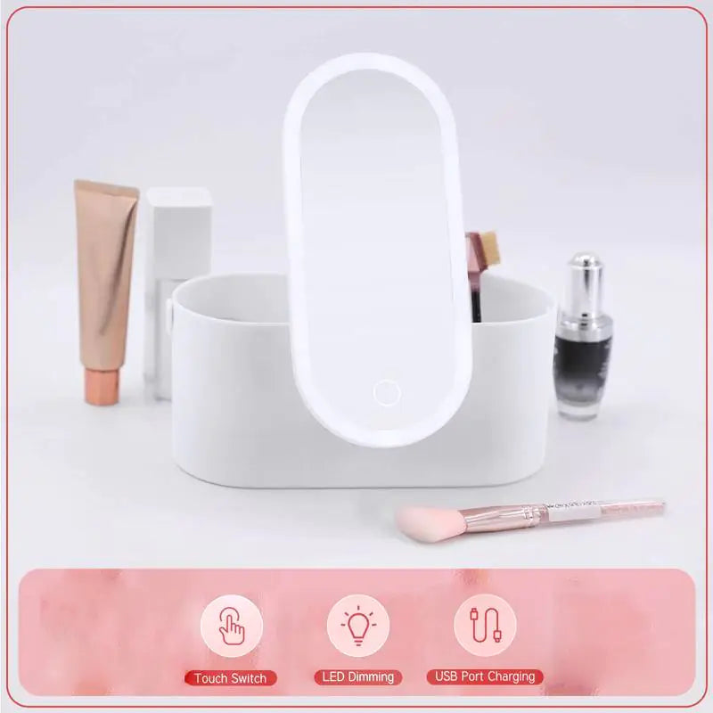 Portable Makeup Organizer with LED Light & Mirror