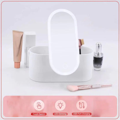 Portable Makeup Organizer with LED Light & Mirror